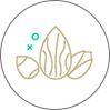 مای آجیل