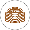 قهوه لویا