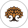 دیجی کافی