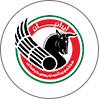 شرکت برنامه نویسی ایرانیان