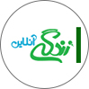 زندگی آنلاین