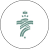 بدلیجات ترنج استور