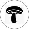 فروشگاه گانودرما