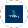 شرکت پیشگامان دامنه فناوری