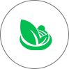 مای گیلا