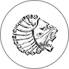 پارس رول فرم