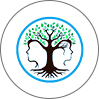 آکادمی زندگی