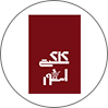 کاکتی استور