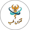 مجتمع پزشکی ققنوس