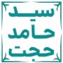سید حامد حجت