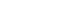 طراحی سایت نشان تیم